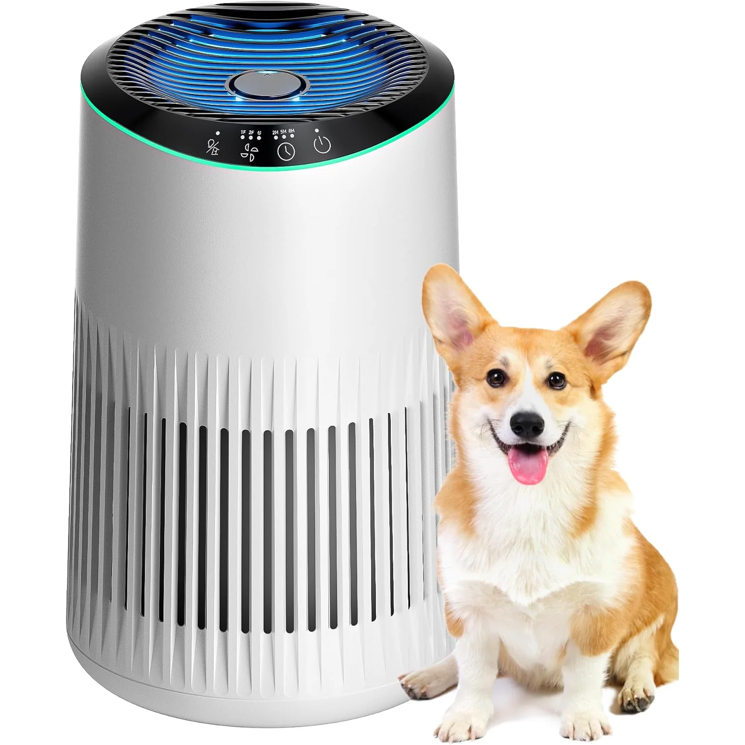 MORENTO purifier beside a corgi